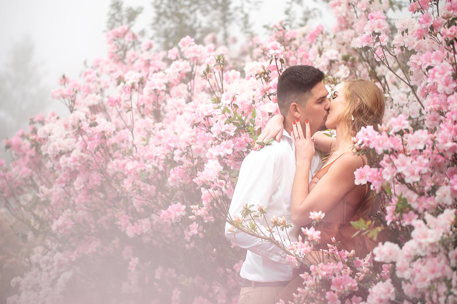 Pink Azaleas at Cheerio Gardens surround the wedding couple as they kiss