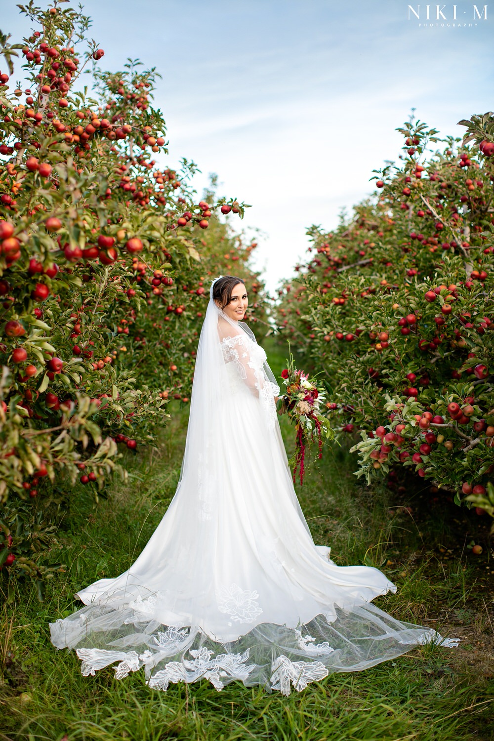 Portrait of a bride with long veil in a red apple orchard for her Elgin wedding at Cherry Glamping