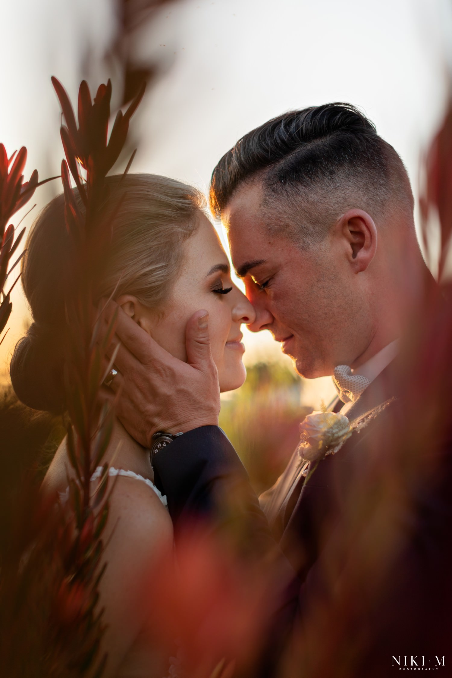 Bride and groom photographed through the red proteas at their Cavalli Estate wedding