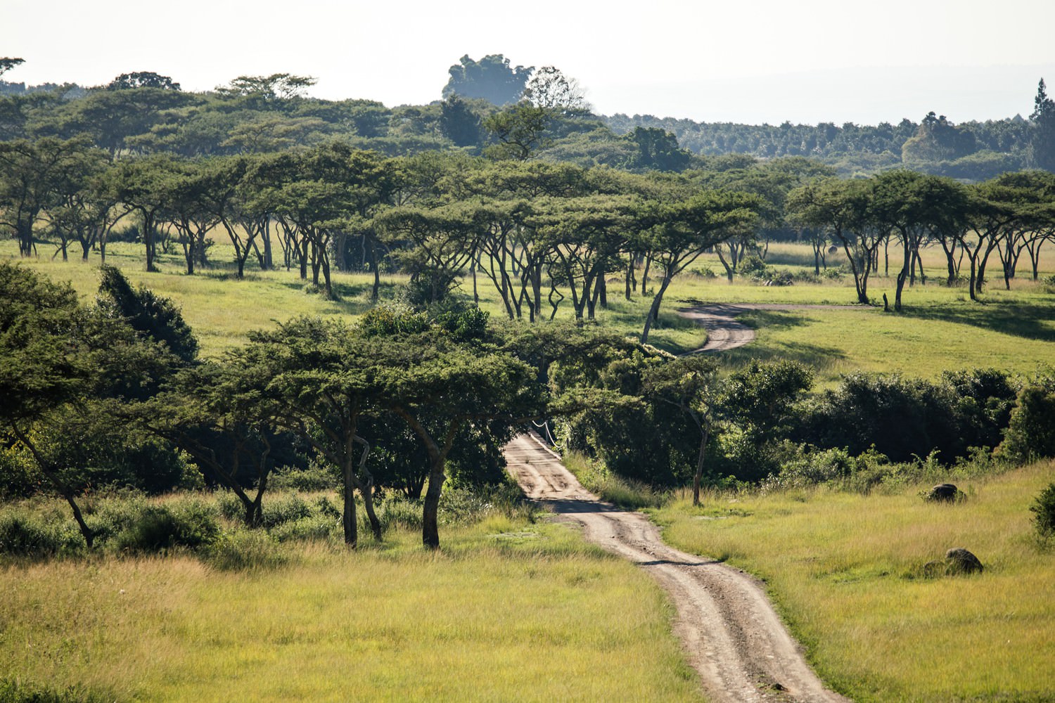 The view at Karkloof Safari Lodge in KZN by safari photographer Niki M