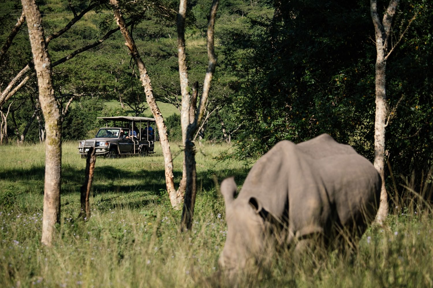 Game drive for the bridal party at Karkloof Safari Lodge in KZN by safari photographer Niki M