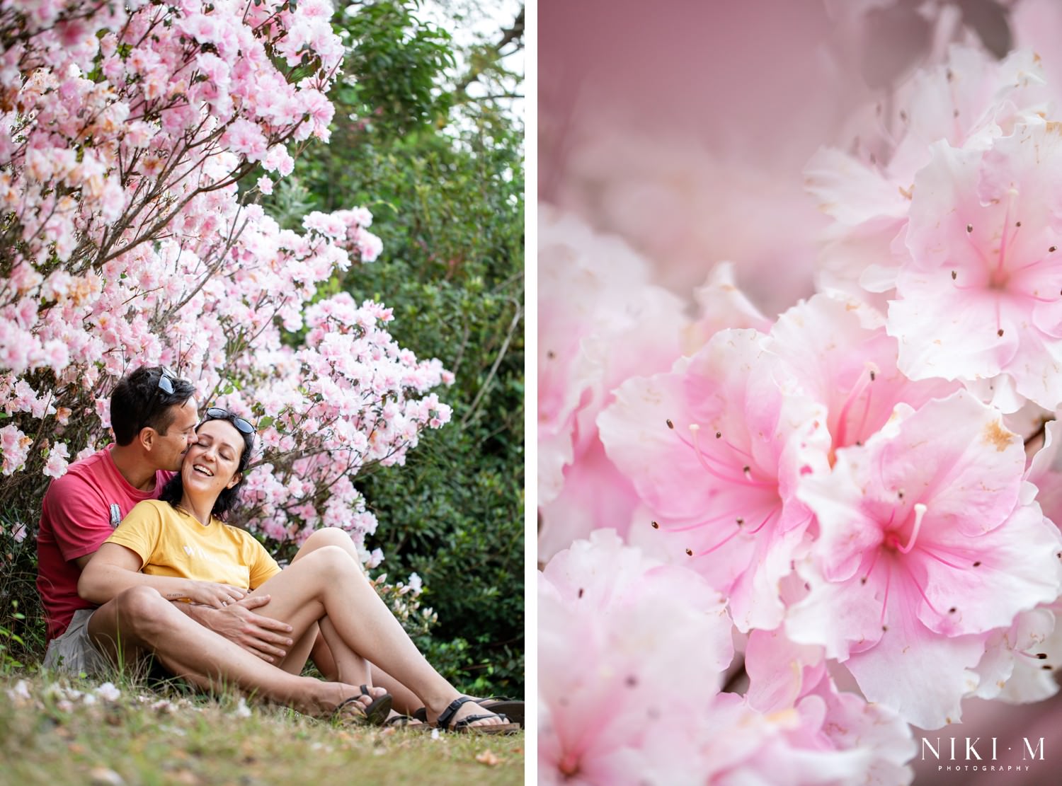 The Magoebaskloof Flowers in Spring at Cheerio Gardens