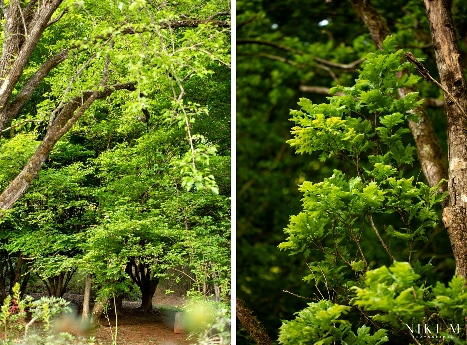 Cheerio Gardens in Magoebaskloof