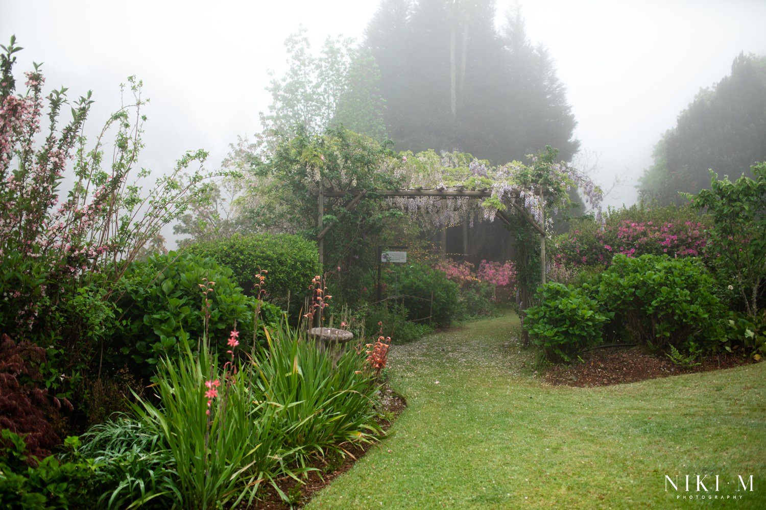 Kuhestan Gardens: Magoebaskloof flowers