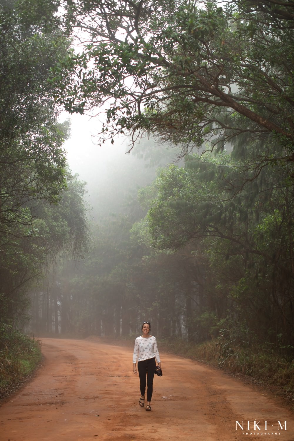 Mist in the Magoebaskloof Mountains