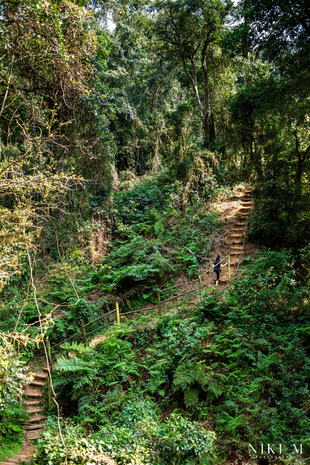 Swartbos Lesodi Hiking Trail in Magoebaskloof