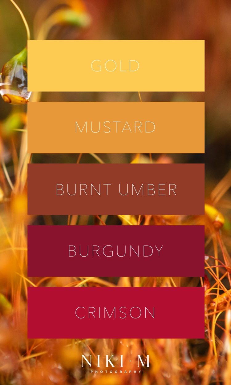 The perfect colour palette for an Autumn photoshoot when you are planning what to wear for Drakensberg photos. Gold, mustard, burnt umber, burgundy and crimson.