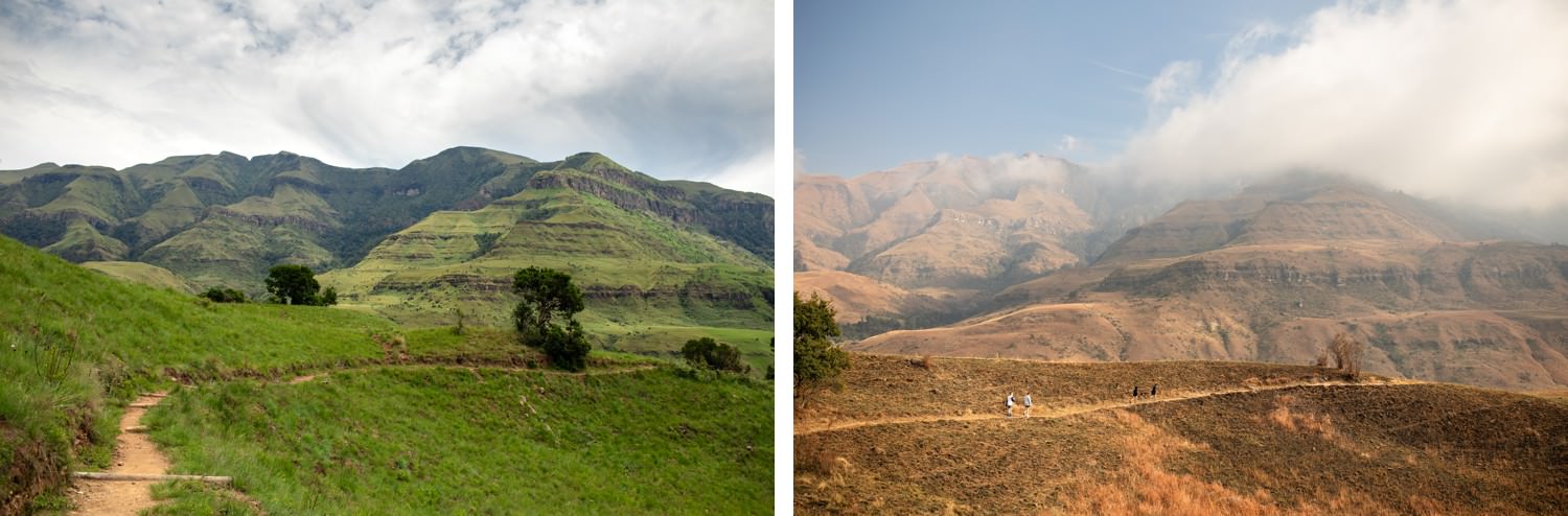Summer and winter at Monks Cowl Reserve in the Drakensberg. Deep green grasses, dramatic skies and stormy mountain weather dominate the Summer months, whilst winter has crisp air, golden landscapes and colder temperatures. The best time for Drakensberg is a matter of preference, and this article takes you through each season.