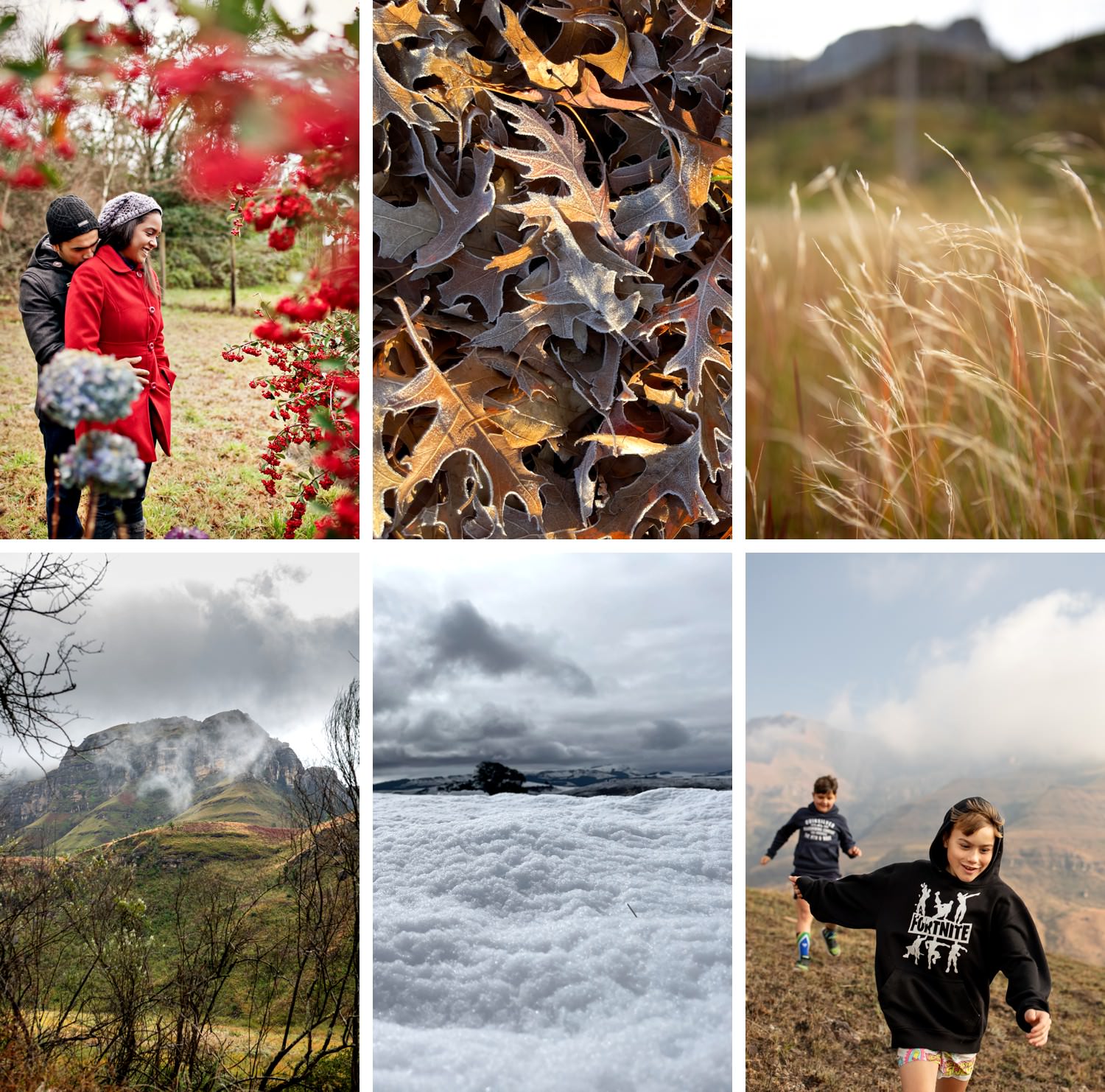 Collage of Drakensberg winter photography at Monks Cowl and Injisuthi, showing a couple amongst the wild red winter berries, close-up textures of frozen. and frosted fallen leaves, glowing long winter grasses, misty peaks at Injisuthi, freshly fallen Drakensberg snow, and children hiking mountain trails at Monks Cowl - photographed by a Drakensberg photographer to illustrate the best time for Drakensberg photography in winter.