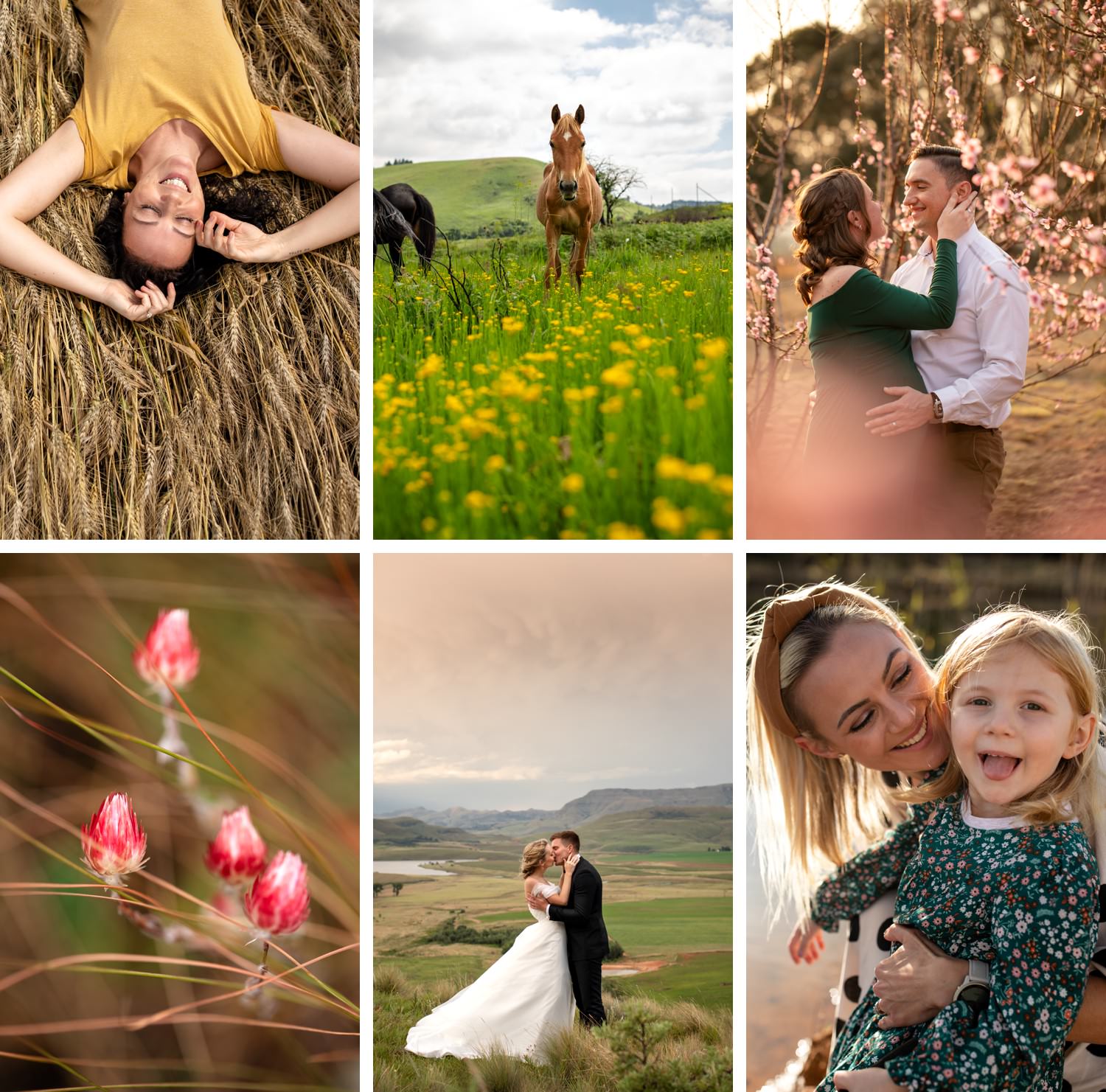 Collage of Drakensberg spring photography, showing a woman lying in golden wheat grown in the Champagne Valley, a wild Drakensberg horse among yellow wildflowers, a couple kissing in an orchard filled with blossoms, close-up Spring wildflowers, a bride and groom kissing whilst standing on top of a mountain at St Bernards Peak, and a mother with her child in golden light — captured by a Drakensberg photographer to showcase the best time for Drakensberg photography.