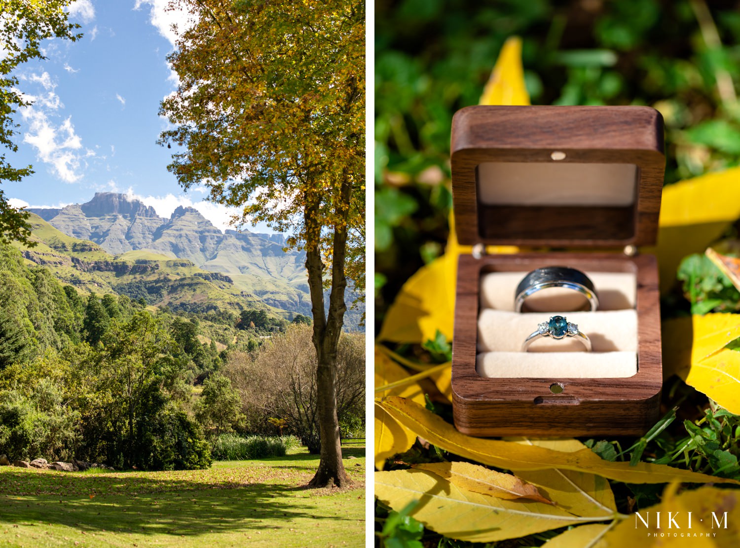 A split image showing the Champagne Castle Hotel gardens framed by autumn trees and a close-up of wedding rings in a wooden box resting on golden leaves — symbolic details from a Drakensberg micro-wedding celebration.