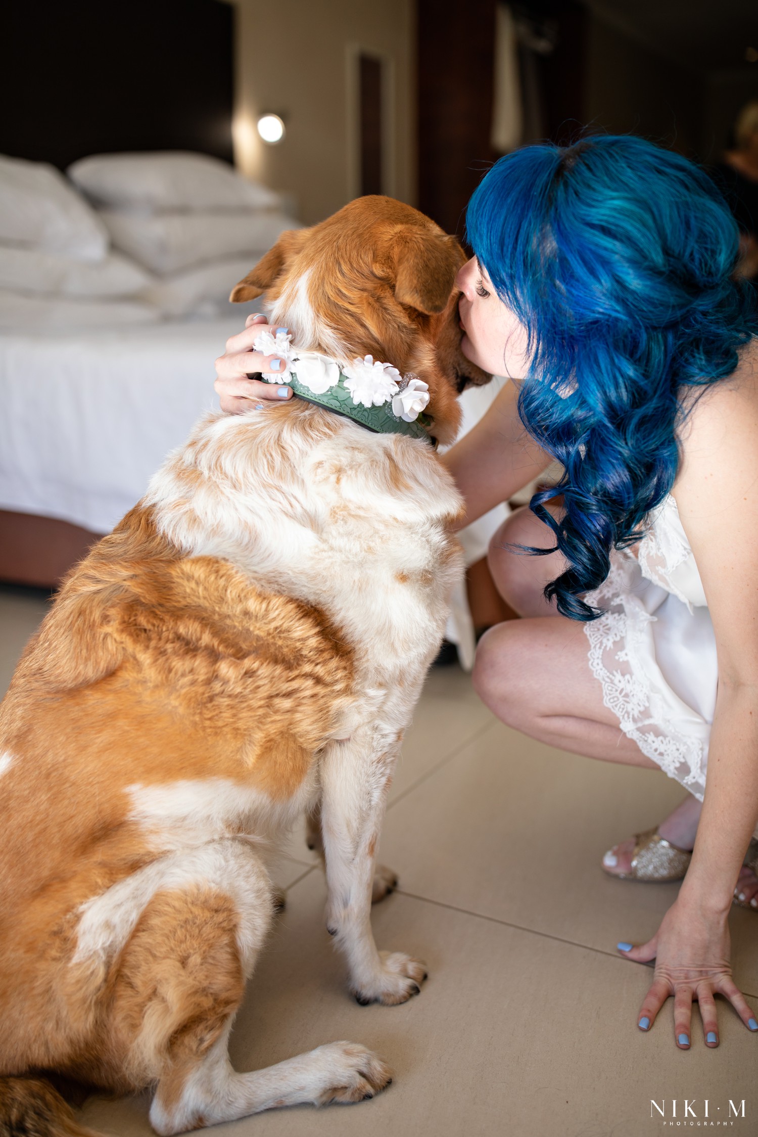 Bride kissing dog Sadie on the nose on her wedding morning in Champagne Valley, photographed by Drakensberg wedding photographer