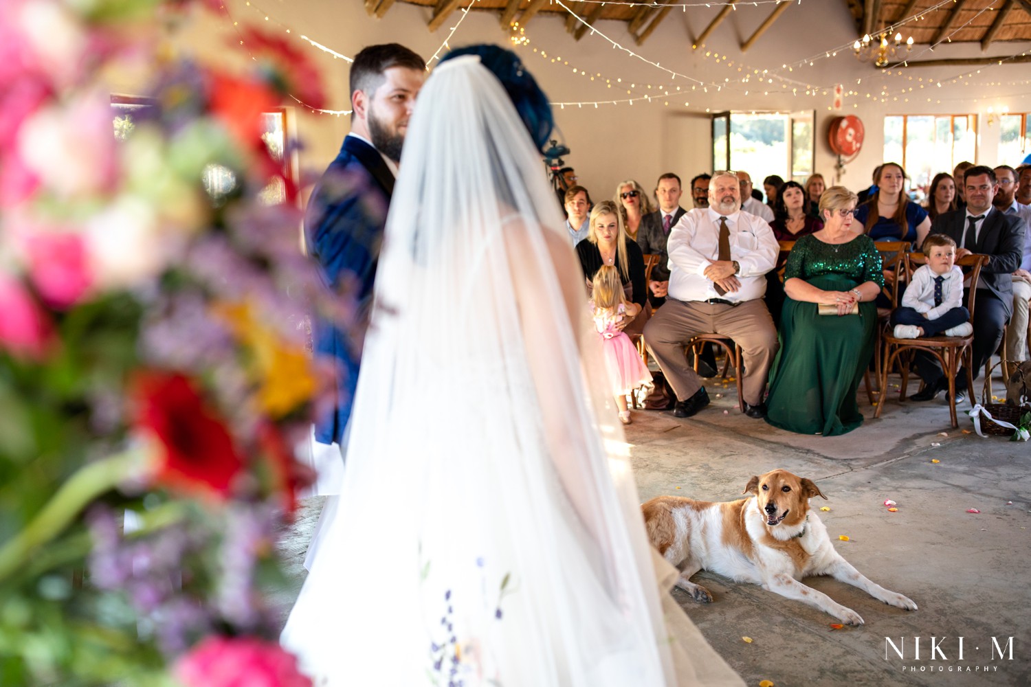 Dog Sadie lying on the aisle floor watching the wedding vows at a Champagne Valley Drakensberg wedding