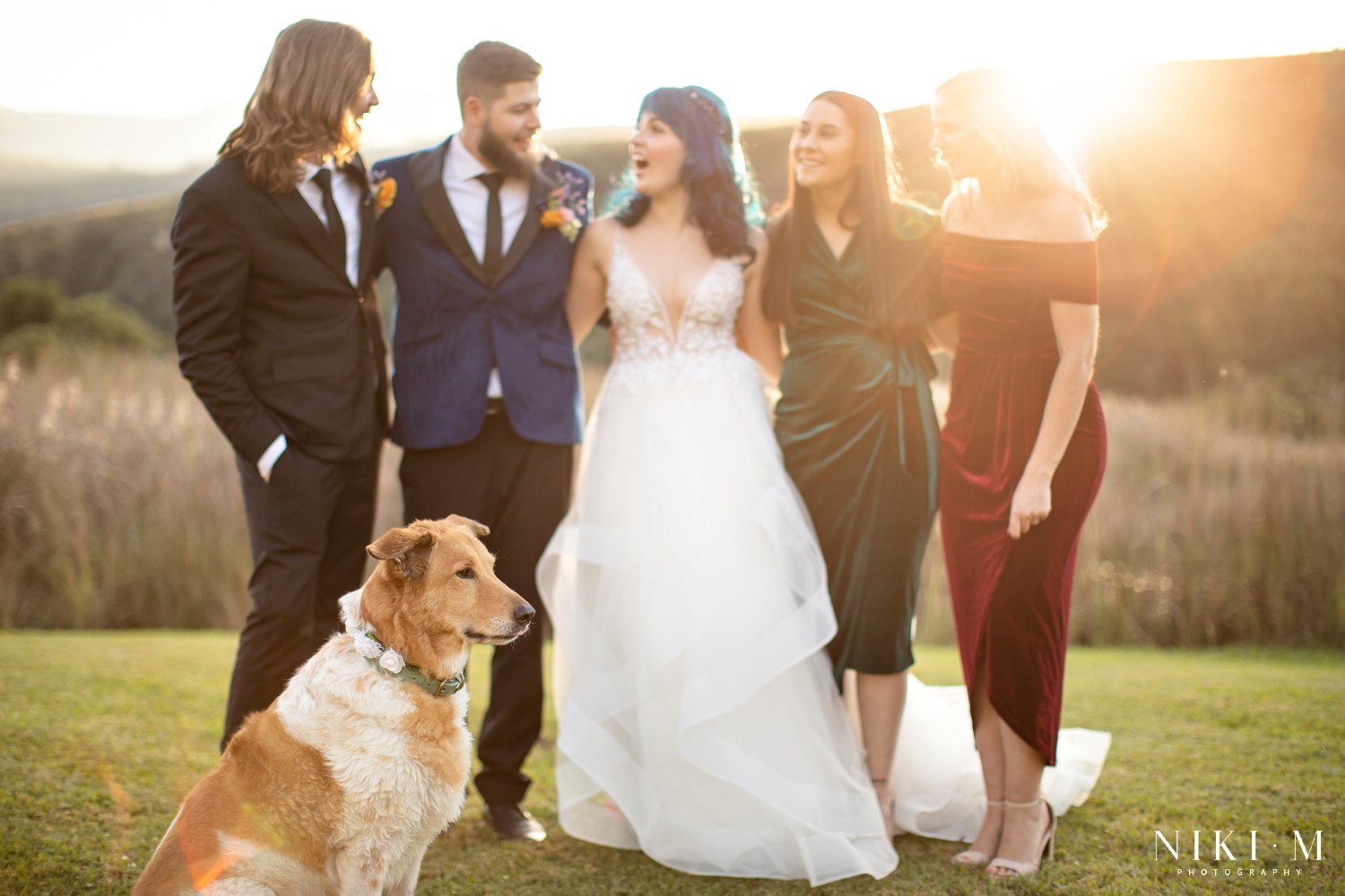Full bridal party with dog Sadie at golden hour with the Drakensberg mountains behind them, Champagne Valley wedding