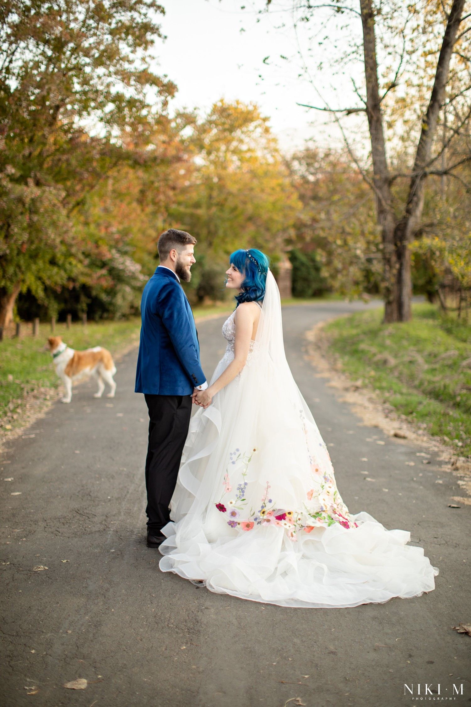 Bride and groom walking a tree-lined autumn road with dog Sadie at a Champagne Valley Drakensberg wedding